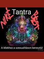 Niké-Best
  Győr
  40 éves